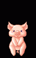 /album/cerditos-sexys/cerdo-33-gif1/